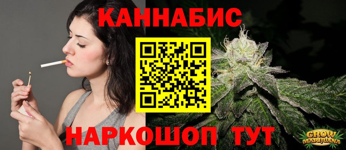 Каннабис планчик Новодвинск
